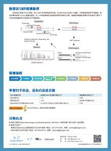 質(zhi)譜法SNP檢(jian)測(ce) 低價(jia)格高(gao)服(fu)務(wu)質(zhi)量(liang)，生工(gong)生物(wu)為您(nin)提(ti)供(gong)優(you)質生命(ming)科學技術(shu)服(fu)務(wu)