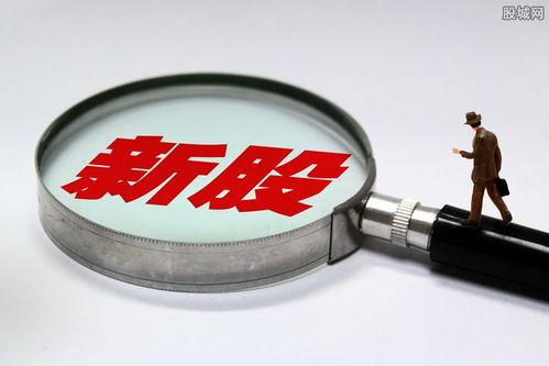 688223晶(jing)科(ke)能(neng)源中簽號(hao)公(gong)布及(ji)新(xin)股(gu)上市(shi)信息